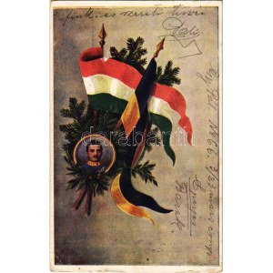1916 Küzdelem által győzelemhez! Viribus Unitis propaganda IV. Károly arcképével, zászlók ...