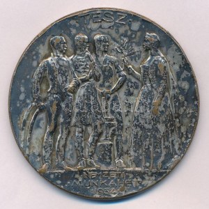Berán Lajos (1882-1943) 1933. TESZ - Nemzeti Munkahét kétoldalas, ezüstözött bronz emlékérem (60mm) T:2...