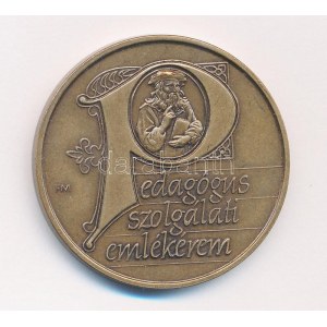 Fritz Mihály (1947-) DN Pedagógus Szolgálati Emlékérem egyoldalas bronz emlékérem (42,5mm) T:1...