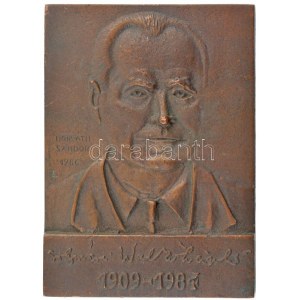 Horváth Sándor (1956-) 1986. Solymári Valkó László 1909-1984 egyoldalas bronz emlékplakett (108x77mm) T:1...