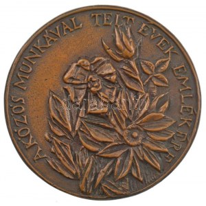 Jovánovics György (1939-) DN A közös munkával telt évek emlékére egyoldalas bronz emlékérem (85mm) T:1...