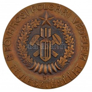 Lajos József (1936-) 1985. A Fővárosi Polgári Védelem fejlesztéséért egyoldalas bronz emlékérem (86,5mm) T:1...
