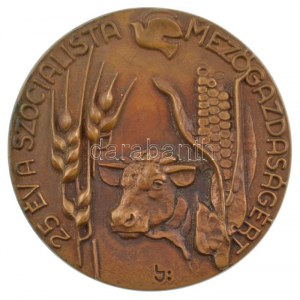 Lajos József (1936-) DN 25 év a szocialista mezőgazdaságért egyoldalas bronz emlékérem (92mm) T:1...