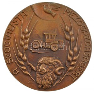 Lajos József (1936-) DN A szocialista mezőgazdaságért egyoldalas bronz emlékérem (91mm) T:1-
