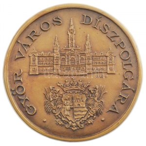Lebó Ferenc (1960-) DN Győr város díszpolgára egyoldalas nagyméretű bronz díjplakett (142mm) T...