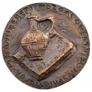 Szabó Iván (1913-1998) DN A honismereti mozgalomért - Hajdú-Bihar megye egyoldalas, öntött bronz plakett (~75-77mm) T...