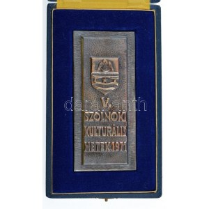 1971. V. Szolnoki Kulturális Hetek 1971 ezüstözött fém plakett, eredeti dísztokban (132x60mm) T:1...