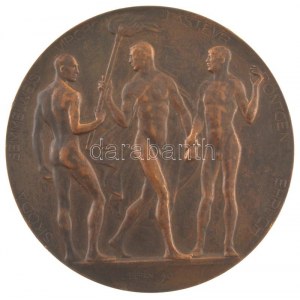 Berán Lajos (1882-1943) DN Híres orvosok egyoldalas bronz emlékérem (60mm) T:1-