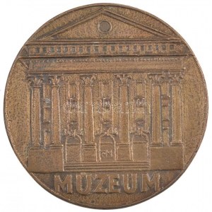 Fritz Mihály (1947-) DN Dr. Jósa András kétoldalas bronz emlékplakett (60mm) T:2 patina