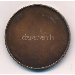 Lessenyei Márta (1930-) 1995. II. Alapellátási Kongresszus - Budapest egyoldalas bronz emlékérem (42,5mm) T:1...