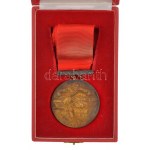 Gáll Gyula (1939-) 1983. Budapest 1983 / XIV. Fedettpályás Atlétikai Európa Bajnokság bronz díjérem szalagon...