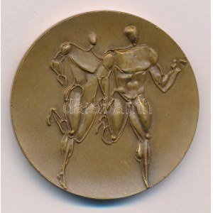 Kiss Nagy András (1930-1997) 1966. VIII. Atlétikai Európa Bajnokság Budapest bronz emlékérem (53mm) T...