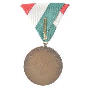 Maugsch Gyula (1882-1945) 1930. Pest-Pilis-Solt-Kiskun vármegye kétoldalas bronz birkózó díjérem pótolt szalaggal ...