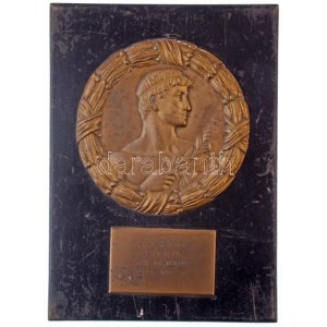 1930. Vezér István VII. o.t. 1929-1930 évi házi bajnoknak 350-400°-on Br lemezplakett (85x52mm) és Bajnok...