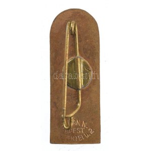 1935. MOTESZ (Magyarországi Testedző Egyesületek Szövetsége) 1885-1935 - XIII. Országos Tornaünnepély bronz jelvény ...