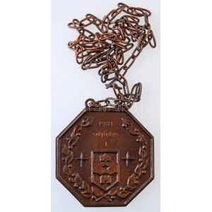 1981. Grand Prix Budapest / 1981 súlylökés I. Br díjérem láncra fűzve. Szign.: CP (68x68mm) T...