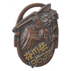 Japán DN bronz turista jelvény T:1 Japan ND bronze tourist badge C:UNC