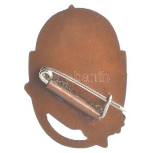 Japán DN bronz turista jelvény T:1 Japan ND bronze tourist badge C:UNC