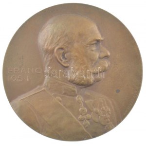 Ausztria 1914. Ferenc József kétoldalas bronz emlékérem. Szign.: Rudolf Neuberger / Arnold Hartig (50mm) T:1...