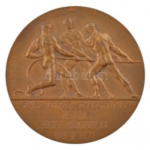 Ausztria / Bécs 1968. Bécsi Kereskedelmi Kamara / Hűséges Munkáért - Josef Charbulak úrnak Bécs 1971 bronz emlékérem...