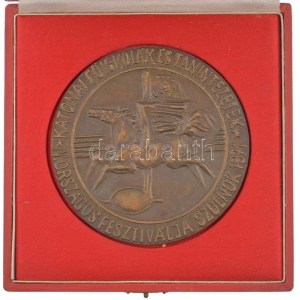 1971. Katonai Főiskolák és Tanintézetek IV. Országos Fesztiválja - Szolnok 1971 egyoldalas bronz plakett tokban ...