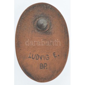 1927. BNV - Budapesti Nemzetközi Vásár bronz jelvény LUDVIG E BP gyártói jelzéssel, tű hiányzik (24x16mm) T...