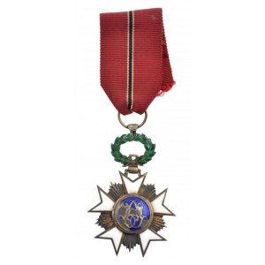 Belgium 1897. Koronarend Lovagkeresztje jelzetlen zománcozott kitüntetés nem eredeti mellszalagon T:2,2- patina...