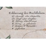 cca 1750 után Des Durchlauchtigst Herzoglichen Lothringischen Hauses Stamm-Tafel, wie solches in Röm. Kays. Maj...