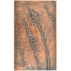 Jelzés nélkül: Retró bronzírozott falikép virágdíszítménnyel. Hibátlan, 25x15 cm