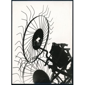 Vas napraforgó Wonke Rezső jelzetlen vintage fotóművészeti alkotása 12x16 cm