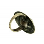 Stříbrný prsten s kamenem, Rytosztuka (20)
