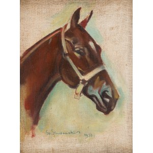 Stanislaw Studencki (1900 Nowy Sacz - 1944 Iwonicz ?), Head of a horse, 1938