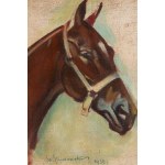 Stanisław Studencki (1900 Nowy Sącz - 1944 Iwonicz ?), Kopf eines Pferdes, 1938