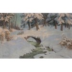 Paul Weimann (1867 Wrocław - 1945 Jelenia Góra), Leśny potok w zimowej szacie