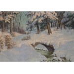 Paul Weimann (1867 Wroclaw - 1945 Jelenia Gora), Forest stream in its winter robe
