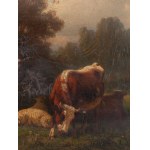 Autor neznámý, Krávy na pastvině
