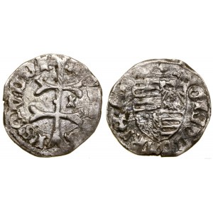 Hungary, denarius, no date (1390-1427)