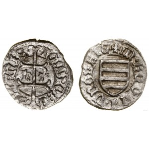 Hungary, denarius, no date (1446)