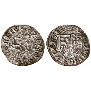 Hungary, denarius, no date (1490-1502)