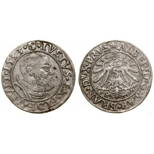 Herzogliches Preußen (1525-1657), Pfennig, 1533, Königsberg