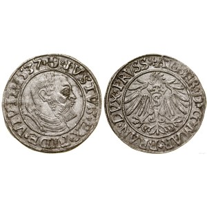 Knížecí Prusko (1525-1657), groš, 1537, Königsberg