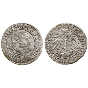 Ducal Prussia (1525-1657), penny, 1539, Königsberg
