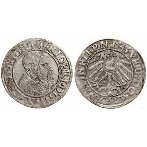 Silesia, penny, 1543, Legnica