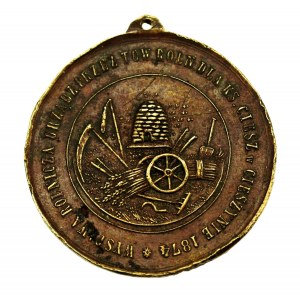 Medal Wystawa Rolnicza, Cieszyn 1874 (101)