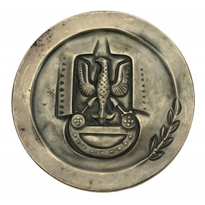 Medal Za Zasługi dla Wojsk Obrony Powietrznej Kraju (110)