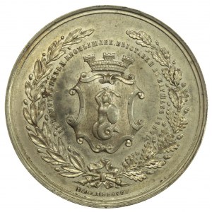 Medal Wystawa Rolnicza Warszawa 1885 (115)