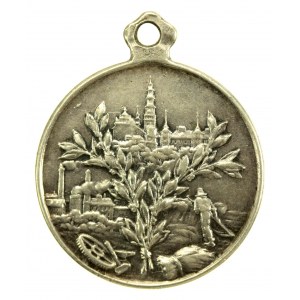 Medal Pamiątka z Wystawy Przemysłu i Rolnictwa Częstochowa 1909 (136)