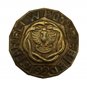 Commemorative badge They stood in Need 1920 (160)