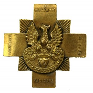 Odznaka Rozbrojenie i Wypędzenie Niemców Warszawa 11.XI.1918 (163)