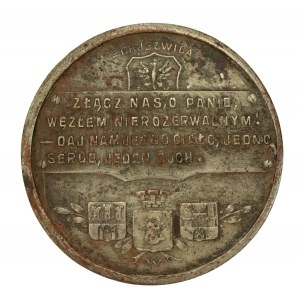 Medal patriotyczny 1914-1917 Kruszwica, Wiśniewski (182)